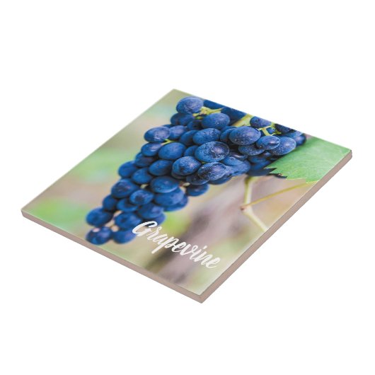 Weintrauben und Weinbaugeschenk Fliese (Seite)