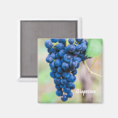 Weintrauben und Weinbaugeschenk Magnet (Vorderseite/Rückseite)