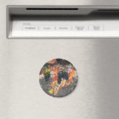 Weintrauben von Zenaida Magnet (In Situ (Geschirrspüler))