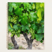 Weintrauben wachsen, Frankreich Planer (Vorderseite)