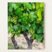 Weintrauben wachsen, Frankreich Planer (Rückseite)