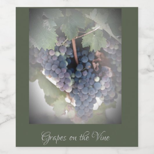 Weintrauben Weinetikett (Einzelnes Label)