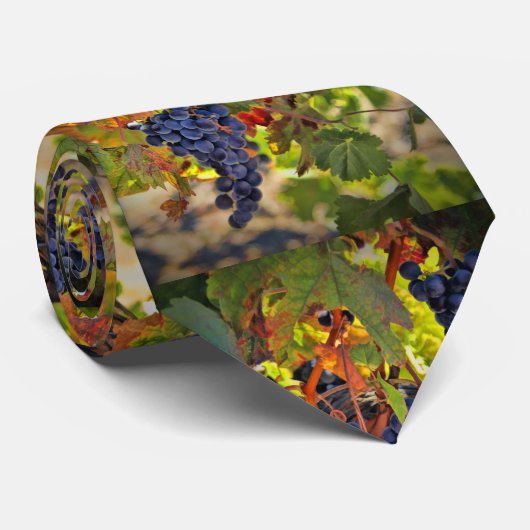 Weintrauben Weinroute Weinroute Mendrisiotto Krawatte (Gerollt)