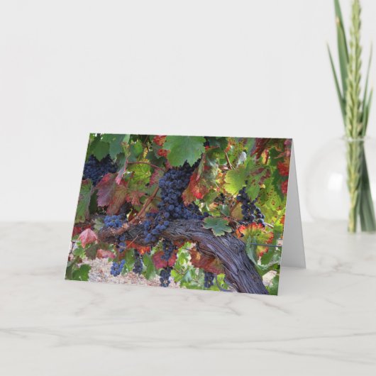 Weinwanderwege Mendrisiotto Weinroute Mendrisiotto Karte (Vorderseite)