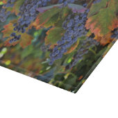 Weinwanderwege Mendrisiotto Weinroute Mendrisiotto Schneidebrett (Ecke)