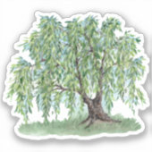 Weinwillow Vinyl Sticker (Vorderseite)
