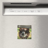 Weird Alpaca Magnet (In Situ (Geschirrspüler))