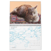 WEIRD CATS 2013 KALENDER (Jan 2027)