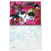 WEIRD CATS 2013 KALENDER (Feb 2027)