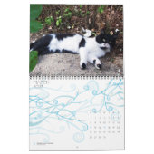 WEIRD CATS 2013 KALENDER (Mär 2027)