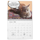 WEIRD CATS 2014 KALENDER (Jan 2026)