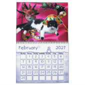 WEIRD CATS 2014 KALENDER (Feb 2027)
