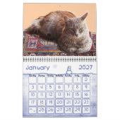 WEIRD CATS 2014 KALENDER (Jan 2027)