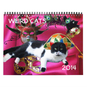 WEIRD CATS 2014 KALENDER