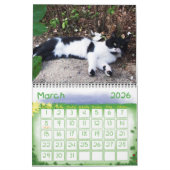 WEIRD CATS 2014 KALENDER (Mär 2026)