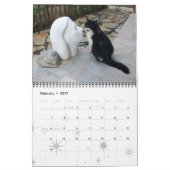 WEIRD CATS 2015 KALENDER (Feb 2027)