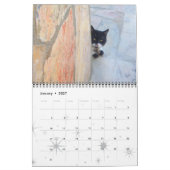 WEIRD CATS 2015 KALENDER (Jan 2027)