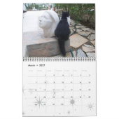 WEIRD CATS 2015 KALENDER (Mär 2027)