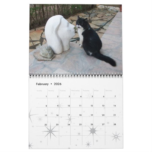WEIRD CATS 2017 KALENDER (Feb 2026)