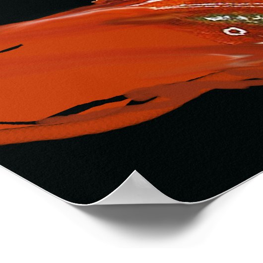 WEIRD MEDIEVAL BESTIARY Rabbit Reiten eines weißen Poster (Ecke)