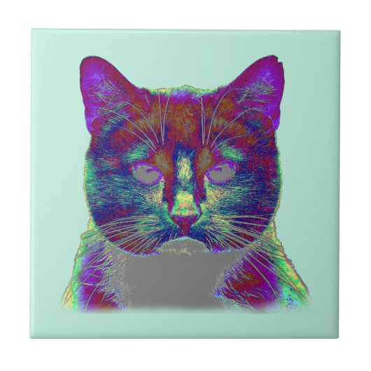 Weirdy Cat Fliese (Vorderseite)