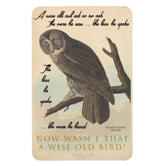 Weise alte Eule Magnet (Vertikal)