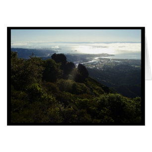 Weise oben auf Mt Tam