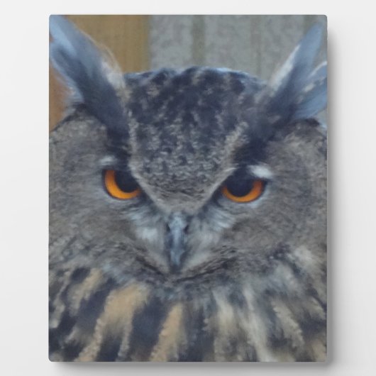 Weisen Fotoplatte (Vorderseite)