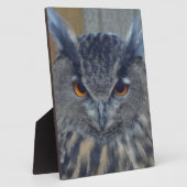 Weisen Fotoplatte (Seite)