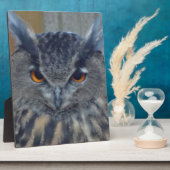 Weisen Fotoplatte (Seite)