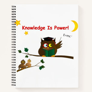 Weisen Owl lehren Notizblock