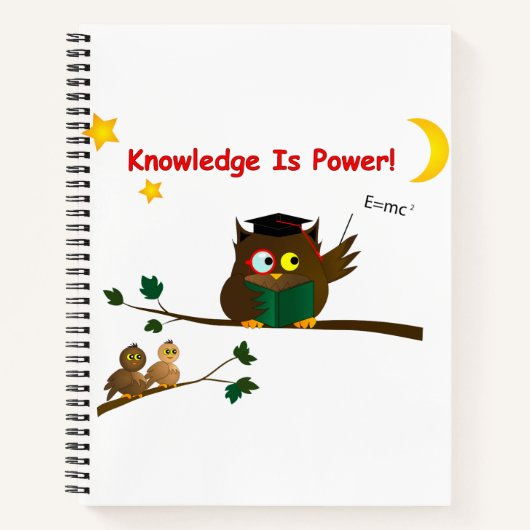 Weisen Owl lehren Notizblock (Vorderseite)
