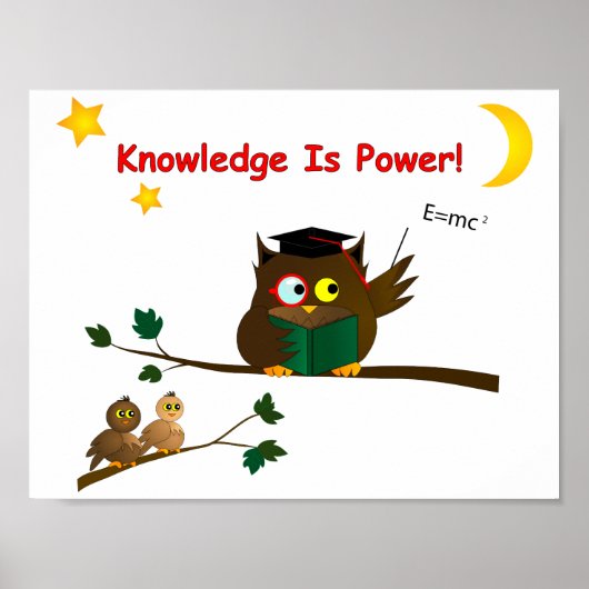 Weisen Owl lehren Poster (Vorne)