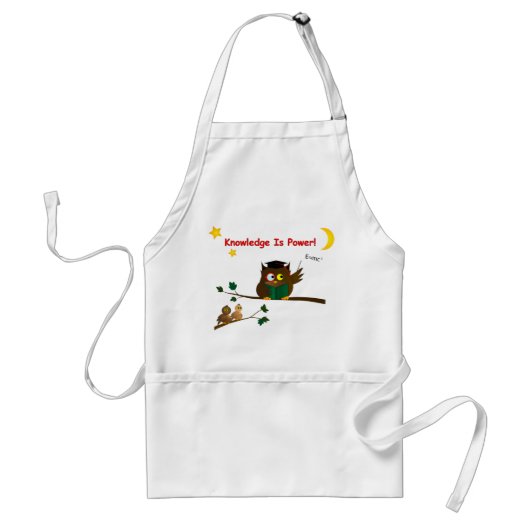 Weisen Owl lehren Schürze (Vorne)