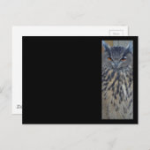 Weisen Postkarte (Vorne/Hinten)