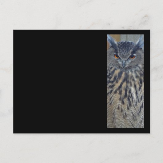 Weisen Postkarte (Vorderseite)