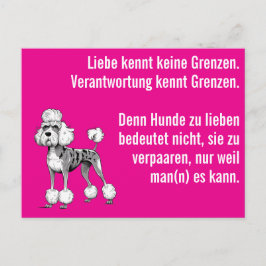 Weiser moderner Deutsche Dogge Postkarte