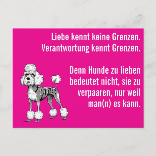 Weiser moderner Deutsche Dogge Postkarte (Vorderseite)