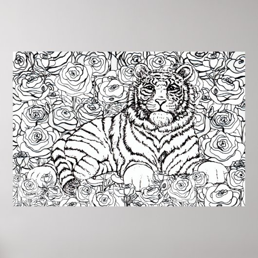 Weiser Tiger Poster (Vorne)