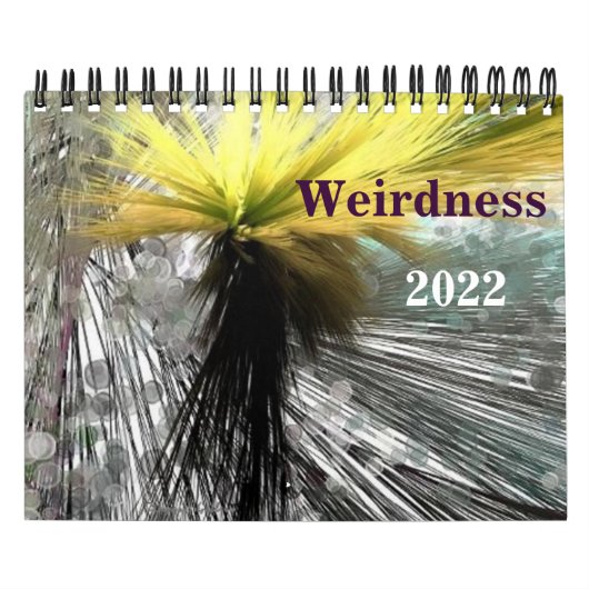 Weisheit 2022-Kalender Kalender (Titelbild)