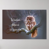 Weisheit beginnt in Wonder // Owl Poster (Vorne)