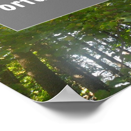 Weisheit-Glück begünstigt das tapfere Sprichwort-P Poster (Ecke)