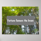 Weisheit-Glück begünstigt das tapfere Sprichwort-P Poster (Vorne)