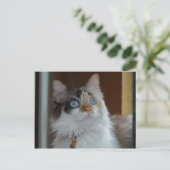 Weisheit sucht Postkarte (Stehend Vorderseite)