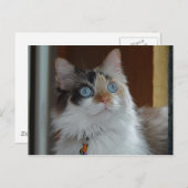 Weisheit sucht Postkarte (Vorne/Hinten)