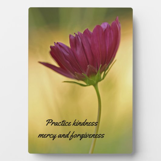 Weisheitstabletts Plaque mit Easel Fotoplatte (Vorderseite)