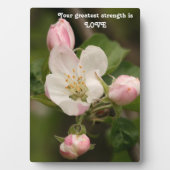 Weisheitstabletts Plaque mit Easel Fotoplatte (Vorderseite)
