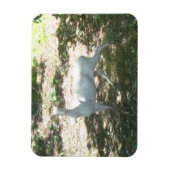 Weiß/Albino Deer 3x4 Foto Magnet (Vertikal)