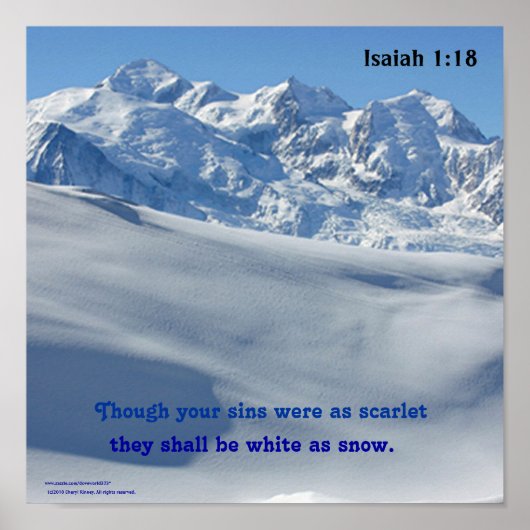 Weiß als Schneeplakat Poster (Vorne)