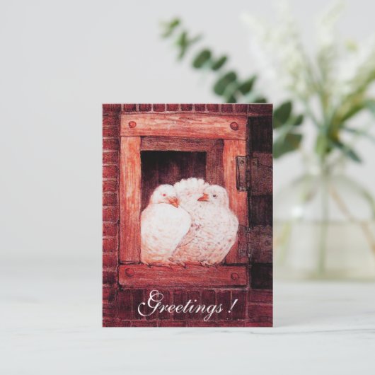 WEISS AN DER FENSTER ROT POSTKARTE (Stehend Vorderseite)